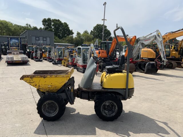 Wacker Neuson 1001 1THT 1 Tonne High Tip Dumper (ST24104)