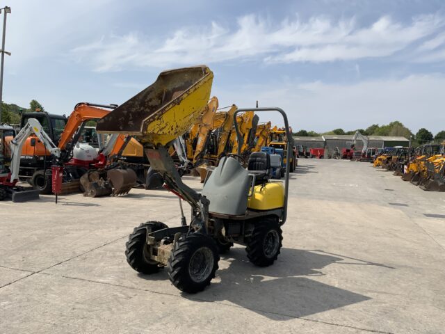 Wacker Neuson 1001 1THT 1 Tonne High Tip Dumper (ST24104)