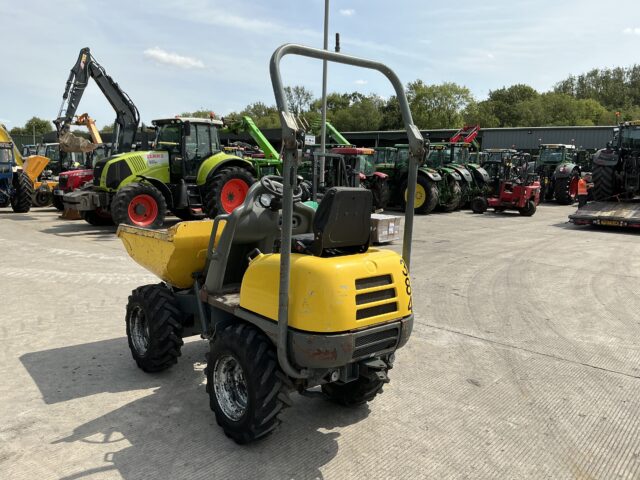 Wacker newson 1001 High Tip