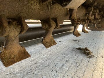 Delmorino Flail 158 Topper (ST25262)